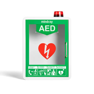 Wall cabinet, with mounting kit, with alarm and location sign, green